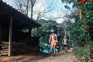 BIB: 
                            <button type="button" onclick="openModal(25300985)" class="btn btn-primary btn-sm float-right btn-popup" data-toggle="modal" data-target=".modal-high-quality">
                        <i class="fas fa-shopping-cart"></i> Add to Cart
                    </button>
                                            <button type="button" onclick="isThisMe(25300985, true)" class="btn btn-success btn-sm float-right btn-popup btn-isme hidden" data-toggle="tooltip" data-placement="bottom" title="นี่คือรูปของคุณใช่ไหม คลิกที่นี่เพื่อเอาเข้าอัลบั้ม">
                        <i class="fas fa-plus"></i> Add to album
                    </button>
                    <button type="button" onclick="isThisMe(25300985, false)" class="btn btn-warning btn-sm float-right btn-popup btn-isnotme hidden">
                        <i class="fas fa-ban"></i> Remove from album
                    </button>