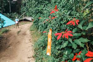 BIB: 
                            <button type="button" onclick="openModal(25309723)" class="btn btn-primary btn-sm float-right btn-popup" data-toggle="modal" data-target=".modal-high-quality">
                        <i class="fas fa-shopping-cart"></i> Add to Cart
                    </button>
                                            <button type="button" onclick="isThisMe(25309723, true)" class="btn btn-success btn-sm float-right btn-popup btn-isme hidden" data-toggle="tooltip" data-placement="bottom" title="นี่คือรูปของคุณใช่ไหม คลิกที่นี่เพื่อเอาเข้าอัลบั้ม">
                        <i class="fas fa-plus"></i> Add to album
                    </button>
                    <button type="button" onclick="isThisMe(25309723, false)" class="btn btn-warning btn-sm float-right btn-popup btn-isnotme hidden">
                        <i class="fas fa-ban"></i> Remove from album
                    </button>