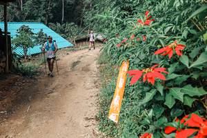 BIB: 
                            <button type="button" onclick="openModal(25309730)" class="btn btn-primary btn-sm float-right btn-popup" data-toggle="modal" data-target=".modal-high-quality">
                        <i class="fas fa-shopping-cart"></i> Add to Cart
                    </button>
                                            <button type="button" onclick="isThisMe(25309730, true)" class="btn btn-success btn-sm float-right btn-popup btn-isme hidden" data-toggle="tooltip" data-placement="bottom" title="นี่คือรูปของคุณใช่ไหม คลิกที่นี่เพื่อเอาเข้าอัลบั้ม">
                        <i class="fas fa-plus"></i> Add to album
                    </button>
                    <button type="button" onclick="isThisMe(25309730, false)" class="btn btn-warning btn-sm float-right btn-popup btn-isnotme hidden">
                        <i class="fas fa-ban"></i> Remove from album
                    </button>