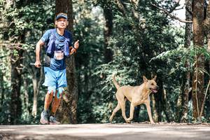 BIB: 
                            <button type="button" onclick="openModal(25317229)" class="btn btn-primary btn-sm float-right btn-popup" data-toggle="modal" data-target=".modal-high-quality">
                        <i class="fas fa-shopping-cart"></i> Add to Cart
                    </button>
                                            <button type="button" onclick="isThisMe(25317229, true)" class="btn btn-success btn-sm float-right btn-popup btn-isme hidden" data-toggle="tooltip" data-placement="bottom" title="นี่คือรูปของคุณใช่ไหม คลิกที่นี่เพื่อเอาเข้าอัลบั้ม">
                        <i class="fas fa-plus"></i> Add to album
                    </button>
                    <button type="button" onclick="isThisMe(25317229, false)" class="btn btn-warning btn-sm float-right btn-popup btn-isnotme hidden">
                        <i class="fas fa-ban"></i> Remove from album
                    </button>