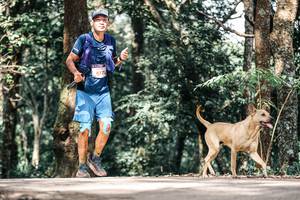 BIB: 
                            <button type="button" onclick="openModal(25317232)" class="btn btn-primary btn-sm float-right btn-popup" data-toggle="modal" data-target=".modal-high-quality">
                        <i class="fas fa-shopping-cart"></i> Add to Cart
                    </button>
                                            <button type="button" onclick="isThisMe(25317232, true)" class="btn btn-success btn-sm float-right btn-popup btn-isme hidden" data-toggle="tooltip" data-placement="bottom" title="นี่คือรูปของคุณใช่ไหม คลิกที่นี่เพื่อเอาเข้าอัลบั้ม">
                        <i class="fas fa-plus"></i> Add to album
                    </button>
                    <button type="button" onclick="isThisMe(25317232, false)" class="btn btn-warning btn-sm float-right btn-popup btn-isnotme hidden">
                        <i class="fas fa-ban"></i> Remove from album
                    </button>