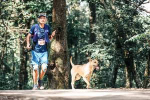 BIB: 
                            <button type="button" onclick="openModal(25317210)" class="btn btn-primary btn-sm float-right btn-popup" data-toggle="modal" data-target=".modal-high-quality">
                        <i class="fas fa-shopping-cart"></i> Add to Cart
                    </button>
                                            <button type="button" onclick="isThisMe(25317210, true)" class="btn btn-success btn-sm float-right btn-popup btn-isme hidden" data-toggle="tooltip" data-placement="bottom" title="นี่คือรูปของคุณใช่ไหม คลิกที่นี่เพื่อเอาเข้าอัลบั้ม">
                        <i class="fas fa-plus"></i> Add to album
                    </button>
                    <button type="button" onclick="isThisMe(25317210, false)" class="btn btn-warning btn-sm float-right btn-popup btn-isnotme hidden">
                        <i class="fas fa-ban"></i> Remove from album
                    </button>