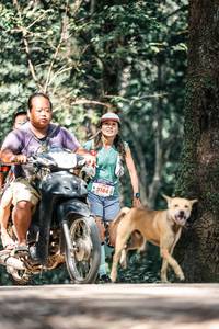 BIB: 
                            <button type="button" onclick="openModal(25315583)" class="btn btn-primary btn-sm float-right btn-popup" data-toggle="modal" data-target=".modal-high-quality">
                        <i class="fas fa-shopping-cart"></i> Add to Cart
                    </button>
                                            <button type="button" onclick="isThisMe(25315583, true)" class="btn btn-success btn-sm float-right btn-popup btn-isme hidden" data-toggle="tooltip" data-placement="bottom" title="นี่คือรูปของคุณใช่ไหม คลิกที่นี่เพื่อเอาเข้าอัลบั้ม">
                        <i class="fas fa-plus"></i> Add to album
                    </button>
                    <button type="button" onclick="isThisMe(25315583, false)" class="btn btn-warning btn-sm float-right btn-popup btn-isnotme hidden">
                        <i class="fas fa-ban"></i> Remove from album
                    </button>