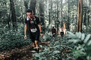 BIB: 
                            <button type="button" onclick="openModal(25443517)" class="btn btn-primary btn-sm float-right btn-popup" data-toggle="modal" data-target=".modal-high-quality">
                        <i class="fas fa-shopping-cart"></i> Add to Cart
                    </button>
                                            <button type="button" onclick="isThisMe(25443517, true)" class="btn btn-success btn-sm float-right btn-popup btn-isme hidden" data-toggle="tooltip" data-placement="bottom" title="นี่คือรูปของคุณใช่ไหม คลิกที่นี่เพื่อเอาเข้าอัลบั้ม">
                        <i class="fas fa-plus"></i> Add to album
                    </button>
                    <button type="button" onclick="isThisMe(25443517, false)" class="btn btn-warning btn-sm float-right btn-popup btn-isnotme hidden">
                        <i class="fas fa-ban"></i> Remove from album
                    </button>