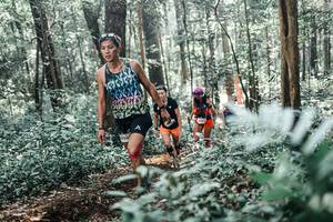 BIB: 
                            <button type="button" onclick="openModal(25451842)" class="btn btn-primary btn-sm float-right btn-popup" data-toggle="modal" data-target=".modal-high-quality">
                        <i class="fas fa-shopping-cart"></i> Add to Cart
                    </button>
                                            <button type="button" onclick="isThisMe(25451842, true)" class="btn btn-success btn-sm float-right btn-popup btn-isme hidden" data-toggle="tooltip" data-placement="bottom" title="นี่คือรูปของคุณใช่ไหม คลิกที่นี่เพื่อเอาเข้าอัลบั้ม">
                        <i class="fas fa-plus"></i> Add to album
                    </button>
                    <button type="button" onclick="isThisMe(25451842, false)" class="btn btn-warning btn-sm float-right btn-popup btn-isnotme hidden">
                        <i class="fas fa-ban"></i> Remove from album
                    </button>