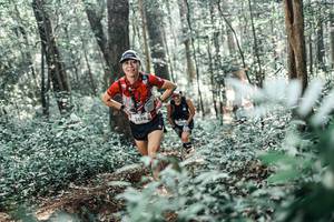 BIB: 
                            <button type="button" onclick="openModal(25453248)" class="btn btn-primary btn-sm float-right btn-popup" data-toggle="modal" data-target=".modal-high-quality">
                        <i class="fas fa-shopping-cart"></i> Add to Cart
                    </button>
                                            <button type="button" onclick="isThisMe(25453248, true)" class="btn btn-success btn-sm float-right btn-popup btn-isme hidden" data-toggle="tooltip" data-placement="bottom" title="นี่คือรูปของคุณใช่ไหม คลิกที่นี่เพื่อเอาเข้าอัลบั้ม">
                        <i class="fas fa-plus"></i> Add to album
                    </button>
                    <button type="button" onclick="isThisMe(25453248, false)" class="btn btn-warning btn-sm float-right btn-popup btn-isnotme hidden">
                        <i class="fas fa-ban"></i> Remove from album
                    </button>