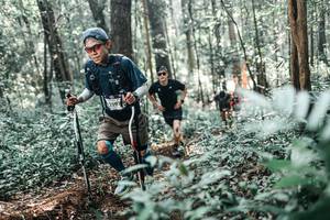 BIB: 
                            <button type="button" onclick="openModal(25453544)" class="btn btn-primary btn-sm float-right btn-popup" data-toggle="modal" data-target=".modal-high-quality">
                        <i class="fas fa-shopping-cart"></i> Add to Cart
                    </button>
                                            <button type="button" onclick="isThisMe(25453544, true)" class="btn btn-success btn-sm float-right btn-popup btn-isme hidden" data-toggle="tooltip" data-placement="bottom" title="นี่คือรูปของคุณใช่ไหม คลิกที่นี่เพื่อเอาเข้าอัลบั้ม">
                        <i class="fas fa-plus"></i> Add to album
                    </button>
                    <button type="button" onclick="isThisMe(25453544, false)" class="btn btn-warning btn-sm float-right btn-popup btn-isnotme hidden">
                        <i class="fas fa-ban"></i> Remove from album
                    </button>