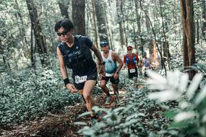 BIB: 
                            <button type="button" onclick="openModal(25459593)" class="btn btn-primary btn-sm float-right btn-popup" data-toggle="modal" data-target=".modal-high-quality">
                        <i class="fas fa-shopping-cart"></i> Add to Cart
                    </button>
                                            <button type="button" onclick="isThisMe(25459593, true)" class="btn btn-success btn-sm float-right btn-popup btn-isme hidden" data-toggle="tooltip" data-placement="bottom" title="นี่คือรูปของคุณใช่ไหม คลิกที่นี่เพื่อเอาเข้าอัลบั้ม">
                        <i class="fas fa-plus"></i> Add to album
                    </button>
                    <button type="button" onclick="isThisMe(25459593, false)" class="btn btn-warning btn-sm float-right btn-popup btn-isnotme hidden">
                        <i class="fas fa-ban"></i> Remove from album
                    </button>