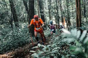 BIB: 
                            <button type="button" onclick="openModal(25444982)" class="btn btn-primary btn-sm float-right btn-popup" data-toggle="modal" data-target=".modal-high-quality">
                        <i class="fas fa-shopping-cart"></i> Add to Cart
                    </button>
                                            <button type="button" onclick="isThisMe(25444982, true)" class="btn btn-success btn-sm float-right btn-popup btn-isme hidden" data-toggle="tooltip" data-placement="bottom" title="นี่คือรูปของคุณใช่ไหม คลิกที่นี่เพื่อเอาเข้าอัลบั้ม">
                        <i class="fas fa-plus"></i> Add to album
                    </button>
                    <button type="button" onclick="isThisMe(25444982, false)" class="btn btn-warning btn-sm float-right btn-popup btn-isnotme hidden">
                        <i class="fas fa-ban"></i> Remove from album
                    </button>