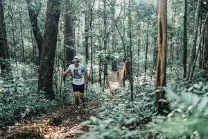 BIB: 
                            <button type="button" onclick="openModal(25435275)" class="btn btn-primary btn-sm float-right btn-popup" data-toggle="modal" data-target=".modal-high-quality">
                        <i class="fas fa-shopping-cart"></i> Add to Cart
                    </button>
                                            <button type="button" onclick="isThisMe(25435275, true)" class="btn btn-success btn-sm float-right btn-popup btn-isme hidden" data-toggle="tooltip" data-placement="bottom" title="นี่คือรูปของคุณใช่ไหม คลิกที่นี่เพื่อเอาเข้าอัลบั้ม">
                        <i class="fas fa-plus"></i> Add to album
                    </button>
                    <button type="button" onclick="isThisMe(25435275, false)" class="btn btn-warning btn-sm float-right btn-popup btn-isnotme hidden">
                        <i class="fas fa-ban"></i> Remove from album
                    </button>