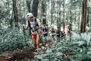 BIB: 
                            <button type="button" onclick="openModal(25450749)" class="btn btn-primary btn-sm float-right btn-popup" data-toggle="modal" data-target=".modal-high-quality">
                        <i class="fas fa-shopping-cart"></i> Add to Cart
                    </button>
                                            <button type="button" onclick="isThisMe(25450749, true)" class="btn btn-success btn-sm float-right btn-popup btn-isme hidden" data-toggle="tooltip" data-placement="bottom" title="นี่คือรูปของคุณใช่ไหม คลิกที่นี่เพื่อเอาเข้าอัลบั้ม">
                        <i class="fas fa-plus"></i> Add to album
                    </button>
                    <button type="button" onclick="isThisMe(25450749, false)" class="btn btn-warning btn-sm float-right btn-popup btn-isnotme hidden">
                        <i class="fas fa-ban"></i> Remove from album
                    </button>