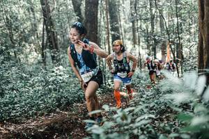 BIB: 
                            <button type="button" onclick="openModal(25457565)" class="btn btn-primary btn-sm float-right btn-popup" data-toggle="modal" data-target=".modal-high-quality">
                        <i class="fas fa-shopping-cart"></i> Add to Cart
                    </button>
                                            <button type="button" onclick="isThisMe(25457565, true)" class="btn btn-success btn-sm float-right btn-popup btn-isme hidden" data-toggle="tooltip" data-placement="bottom" title="นี่คือรูปของคุณใช่ไหม คลิกที่นี่เพื่อเอาเข้าอัลบั้ม">
                        <i class="fas fa-plus"></i> Add to album
                    </button>
                    <button type="button" onclick="isThisMe(25457565, false)" class="btn btn-warning btn-sm float-right btn-popup btn-isnotme hidden">
                        <i class="fas fa-ban"></i> Remove from album
                    </button>