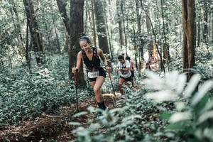 BIB: 
                            <button type="button" onclick="openModal(25458891)" class="btn btn-primary btn-sm float-right btn-popup" data-toggle="modal" data-target=".modal-high-quality">
                        <i class="fas fa-shopping-cart"></i> Add to Cart
                    </button>
                                            <button type="button" onclick="isThisMe(25458891, true)" class="btn btn-success btn-sm float-right btn-popup btn-isme hidden" data-toggle="tooltip" data-placement="bottom" title="นี่คือรูปของคุณใช่ไหม คลิกที่นี่เพื่อเอาเข้าอัลบั้ม">
                        <i class="fas fa-plus"></i> Add to album
                    </button>
                    <button type="button" onclick="isThisMe(25458891, false)" class="btn btn-warning btn-sm float-right btn-popup btn-isnotme hidden">
                        <i class="fas fa-ban"></i> Remove from album
                    </button>