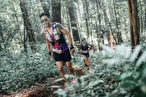 BIB: 
                            <button type="button" onclick="openModal(25454441)" class="btn btn-primary btn-sm float-right btn-popup" data-toggle="modal" data-target=".modal-high-quality">
                        <i class="fas fa-shopping-cart"></i> Add to Cart
                    </button>
                                            <button type="button" onclick="isThisMe(25454441, true)" class="btn btn-success btn-sm float-right btn-popup btn-isme hidden" data-toggle="tooltip" data-placement="bottom" title="นี่คือรูปของคุณใช่ไหม คลิกที่นี่เพื่อเอาเข้าอัลบั้ม">
                        <i class="fas fa-plus"></i> Add to album
                    </button>
                    <button type="button" onclick="isThisMe(25454441, false)" class="btn btn-warning btn-sm float-right btn-popup btn-isnotme hidden">
                        <i class="fas fa-ban"></i> Remove from album
                    </button>