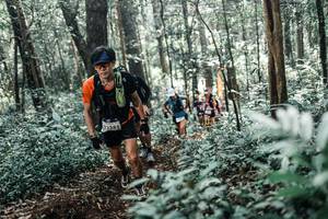 BIB: 
                            <button type="button" onclick="openModal(25462792)" class="btn btn-primary btn-sm float-right btn-popup" data-toggle="modal" data-target=".modal-high-quality">
                        <i class="fas fa-shopping-cart"></i> Add to Cart
                    </button>
                                            <button type="button" onclick="isThisMe(25462792, true)" class="btn btn-success btn-sm float-right btn-popup btn-isme hidden" data-toggle="tooltip" data-placement="bottom" title="นี่คือรูปของคุณใช่ไหม คลิกที่นี่เพื่อเอาเข้าอัลบั้ม">
                        <i class="fas fa-plus"></i> Add to album
                    </button>
                    <button type="button" onclick="isThisMe(25462792, false)" class="btn btn-warning btn-sm float-right btn-popup btn-isnotme hidden">
                        <i class="fas fa-ban"></i> Remove from album
                    </button>