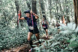 BIB: 
                            <button type="button" onclick="openModal(25454446)" class="btn btn-primary btn-sm float-right btn-popup" data-toggle="modal" data-target=".modal-high-quality">
                        <i class="fas fa-shopping-cart"></i> Add to Cart
                    </button>
                                            <button type="button" onclick="isThisMe(25454446, true)" class="btn btn-success btn-sm float-right btn-popup btn-isme hidden" data-toggle="tooltip" data-placement="bottom" title="นี่คือรูปของคุณใช่ไหม คลิกที่นี่เพื่อเอาเข้าอัลบั้ม">
                        <i class="fas fa-plus"></i> Add to album
                    </button>
                    <button type="button" onclick="isThisMe(25454446, false)" class="btn btn-warning btn-sm float-right btn-popup btn-isnotme hidden">
                        <i class="fas fa-ban"></i> Remove from album
                    </button>