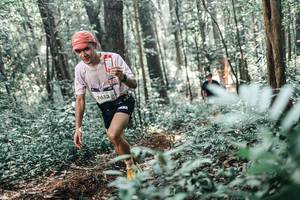 BIB: 
                            <button type="button" onclick="openModal(25455396)" class="btn btn-primary btn-sm float-right btn-popup" data-toggle="modal" data-target=".modal-high-quality">
                        <i class="fas fa-shopping-cart"></i> Add to Cart
                    </button>
                                            <button type="button" onclick="isThisMe(25455396, true)" class="btn btn-success btn-sm float-right btn-popup btn-isme hidden" data-toggle="tooltip" data-placement="bottom" title="นี่คือรูปของคุณใช่ไหม คลิกที่นี่เพื่อเอาเข้าอัลบั้ม">
                        <i class="fas fa-plus"></i> Add to album
                    </button>
                    <button type="button" onclick="isThisMe(25455396, false)" class="btn btn-warning btn-sm float-right btn-popup btn-isnotme hidden">
                        <i class="fas fa-ban"></i> Remove from album
                    </button>