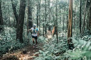 BIB: 
                            <button type="button" onclick="openModal(25435093)" class="btn btn-primary btn-sm float-right btn-popup" data-toggle="modal" data-target=".modal-high-quality">
                        <i class="fas fa-shopping-cart"></i> Add to Cart
                    </button>
                                            <button type="button" onclick="isThisMe(25435093, true)" class="btn btn-success btn-sm float-right btn-popup btn-isme hidden" data-toggle="tooltip" data-placement="bottom" title="นี่คือรูปของคุณใช่ไหม คลิกที่นี่เพื่อเอาเข้าอัลบั้ม">
                        <i class="fas fa-plus"></i> Add to album
                    </button>
                    <button type="button" onclick="isThisMe(25435093, false)" class="btn btn-warning btn-sm float-right btn-popup btn-isnotme hidden">
                        <i class="fas fa-ban"></i> Remove from album
                    </button>