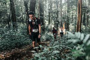 BIB: 
                            <button type="button" onclick="openModal(25443419)" class="btn btn-primary btn-sm float-right btn-popup" data-toggle="modal" data-target=".modal-high-quality">
                        <i class="fas fa-shopping-cart"></i> Add to Cart
                    </button>
                                            <button type="button" onclick="isThisMe(25443419, true)" class="btn btn-success btn-sm float-right btn-popup btn-isme hidden" data-toggle="tooltip" data-placement="bottom" title="นี่คือรูปของคุณใช่ไหม คลิกที่นี่เพื่อเอาเข้าอัลบั้ม">
                        <i class="fas fa-plus"></i> Add to album
                    </button>
                    <button type="button" onclick="isThisMe(25443419, false)" class="btn btn-warning btn-sm float-right btn-popup btn-isnotme hidden">
                        <i class="fas fa-ban"></i> Remove from album
                    </button>