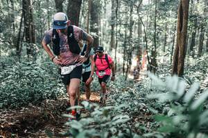 BIB: 
                            <button type="button" onclick="openModal(25450533)" class="btn btn-primary btn-sm float-right btn-popup" data-toggle="modal" data-target=".modal-high-quality">
                        <i class="fas fa-shopping-cart"></i> Add to Cart
                    </button>
                                            <button type="button" onclick="isThisMe(25450533, true)" class="btn btn-success btn-sm float-right btn-popup btn-isme hidden" data-toggle="tooltip" data-placement="bottom" title="นี่คือรูปของคุณใช่ไหม คลิกที่นี่เพื่อเอาเข้าอัลบั้ม">
                        <i class="fas fa-plus"></i> Add to album
                    </button>
                    <button type="button" onclick="isThisMe(25450533, false)" class="btn btn-warning btn-sm float-right btn-popup btn-isnotme hidden">
                        <i class="fas fa-ban"></i> Remove from album
                    </button>