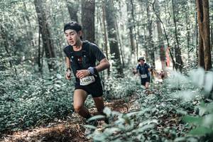 BIB: 
                            <button type="button" onclick="openModal(25447344)" class="btn btn-primary btn-sm float-right btn-popup" data-toggle="modal" data-target=".modal-high-quality">
                        <i class="fas fa-shopping-cart"></i> Add to Cart
                    </button>
                                            <button type="button" onclick="isThisMe(25447344, true)" class="btn btn-success btn-sm float-right btn-popup btn-isme hidden" data-toggle="tooltip" data-placement="bottom" title="นี่คือรูปของคุณใช่ไหม คลิกที่นี่เพื่อเอาเข้าอัลบั้ม">
                        <i class="fas fa-plus"></i> Add to album
                    </button>
                    <button type="button" onclick="isThisMe(25447344, false)" class="btn btn-warning btn-sm float-right btn-popup btn-isnotme hidden">
                        <i class="fas fa-ban"></i> Remove from album
                    </button>