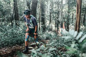 BIB: 
                            <button type="button" onclick="openModal(25443048)" class="btn btn-primary btn-sm float-right btn-popup" data-toggle="modal" data-target=".modal-high-quality">
                        <i class="fas fa-shopping-cart"></i> Add to Cart
                    </button>
                                            <button type="button" onclick="isThisMe(25443048, true)" class="btn btn-success btn-sm float-right btn-popup btn-isme hidden" data-toggle="tooltip" data-placement="bottom" title="นี่คือรูปของคุณใช่ไหม คลิกที่นี่เพื่อเอาเข้าอัลบั้ม">
                        <i class="fas fa-plus"></i> Add to album
                    </button>
                    <button type="button" onclick="isThisMe(25443048, false)" class="btn btn-warning btn-sm float-right btn-popup btn-isnotme hidden">
                        <i class="fas fa-ban"></i> Remove from album
                    </button>