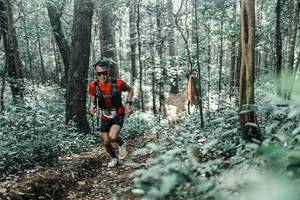 BIB: 
                            <button type="button" onclick="openModal(25435897)" class="btn btn-primary btn-sm float-right btn-popup" data-toggle="modal" data-target=".modal-high-quality">
                        <i class="fas fa-shopping-cart"></i> Add to Cart
                    </button>
                                            <button type="button" onclick="isThisMe(25435897, true)" class="btn btn-success btn-sm float-right btn-popup btn-isme hidden" data-toggle="tooltip" data-placement="bottom" title="นี่คือรูปของคุณใช่ไหม คลิกที่นี่เพื่อเอาเข้าอัลบั้ม">
                        <i class="fas fa-plus"></i> Add to album
                    </button>
                    <button type="button" onclick="isThisMe(25435897, false)" class="btn btn-warning btn-sm float-right btn-popup btn-isnotme hidden">
                        <i class="fas fa-ban"></i> Remove from album
                    </button>