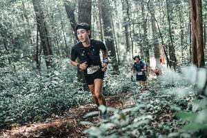 BIB: 
                            <button type="button" onclick="openModal(25447134)" class="btn btn-primary btn-sm float-right btn-popup" data-toggle="modal" data-target=".modal-high-quality">
                        <i class="fas fa-shopping-cart"></i> Add to Cart
                    </button>
                                            <button type="button" onclick="isThisMe(25447134, true)" class="btn btn-success btn-sm float-right btn-popup btn-isme hidden" data-toggle="tooltip" data-placement="bottom" title="นี่คือรูปของคุณใช่ไหม คลิกที่นี่เพื่อเอาเข้าอัลบั้ม">
                        <i class="fas fa-plus"></i> Add to album
                    </button>
                    <button type="button" onclick="isThisMe(25447134, false)" class="btn btn-warning btn-sm float-right btn-popup btn-isnotme hidden">
                        <i class="fas fa-ban"></i> Remove from album
                    </button>