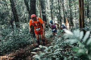 BIB: 
                            <button type="button" onclick="openModal(25445053)" class="btn btn-primary btn-sm float-right btn-popup" data-toggle="modal" data-target=".modal-high-quality">
                        <i class="fas fa-shopping-cart"></i> Add to Cart
                    </button>
                                            <button type="button" onclick="isThisMe(25445053, true)" class="btn btn-success btn-sm float-right btn-popup btn-isme hidden" data-toggle="tooltip" data-placement="bottom" title="นี่คือรูปของคุณใช่ไหม คลิกที่นี่เพื่อเอาเข้าอัลบั้ม">
                        <i class="fas fa-plus"></i> Add to album
                    </button>
                    <button type="button" onclick="isThisMe(25445053, false)" class="btn btn-warning btn-sm float-right btn-popup btn-isnotme hidden">
                        <i class="fas fa-ban"></i> Remove from album
                    </button>