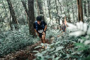 BIB: 
                            <button type="button" onclick="openModal(25489484)" class="btn btn-primary btn-sm float-right btn-popup" data-toggle="modal" data-target=".modal-high-quality">
                        <i class="fas fa-shopping-cart"></i> Add to Cart
                    </button>
                                            <button type="button" onclick="isThisMe(25489484, true)" class="btn btn-success btn-sm float-right btn-popup btn-isme hidden" data-toggle="tooltip" data-placement="bottom" title="นี่คือรูปของคุณใช่ไหม คลิกที่นี่เพื่อเอาเข้าอัลบั้ม">
                        <i class="fas fa-plus"></i> Add to album
                    </button>
                    <button type="button" onclick="isThisMe(25489484, false)" class="btn btn-warning btn-sm float-right btn-popup btn-isnotme hidden">
                        <i class="fas fa-ban"></i> Remove from album
                    </button>