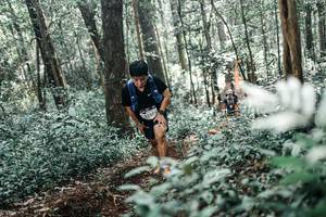 BIB: 
                            <button type="button" onclick="openModal(25489481)" class="btn btn-primary btn-sm float-right btn-popup" data-toggle="modal" data-target=".modal-high-quality">
                        <i class="fas fa-shopping-cart"></i> Add to Cart
                    </button>
                                            <button type="button" onclick="isThisMe(25489481, true)" class="btn btn-success btn-sm float-right btn-popup btn-isme hidden" data-toggle="tooltip" data-placement="bottom" title="นี่คือรูปของคุณใช่ไหม คลิกที่นี่เพื่อเอาเข้าอัลบั้ม">
                        <i class="fas fa-plus"></i> Add to album
                    </button>
                    <button type="button" onclick="isThisMe(25489481, false)" class="btn btn-warning btn-sm float-right btn-popup btn-isnotme hidden">
                        <i class="fas fa-ban"></i> Remove from album
                    </button>