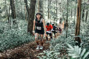 BIB: 
                            <button type="button" onclick="openModal(25510334)" class="btn btn-primary btn-sm float-right btn-popup" data-toggle="modal" data-target=".modal-high-quality">
                        <i class="fas fa-shopping-cart"></i> Add to Cart
                    </button>
                                            <button type="button" onclick="isThisMe(25510334, true)" class="btn btn-success btn-sm float-right btn-popup btn-isme hidden" data-toggle="tooltip" data-placement="bottom" title="นี่คือรูปของคุณใช่ไหม คลิกที่นี่เพื่อเอาเข้าอัลบั้ม">
                        <i class="fas fa-plus"></i> Add to album
                    </button>
                    <button type="button" onclick="isThisMe(25510334, false)" class="btn btn-warning btn-sm float-right btn-popup btn-isnotme hidden">
                        <i class="fas fa-ban"></i> Remove from album
                    </button>