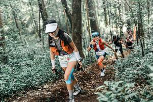 BIB: 
                            <button type="button" onclick="openModal(25515297)" class="btn btn-primary btn-sm float-right btn-popup" data-toggle="modal" data-target=".modal-high-quality">
                        <i class="fas fa-shopping-cart"></i> Add to Cart
                    </button>
                                            <button type="button" onclick="isThisMe(25515297, true)" class="btn btn-success btn-sm float-right btn-popup btn-isme hidden" data-toggle="tooltip" data-placement="bottom" title="นี่คือรูปของคุณใช่ไหม คลิกที่นี่เพื่อเอาเข้าอัลบั้ม">
                        <i class="fas fa-plus"></i> Add to album
                    </button>
                    <button type="button" onclick="isThisMe(25515297, false)" class="btn btn-warning btn-sm float-right btn-popup btn-isnotme hidden">
                        <i class="fas fa-ban"></i> Remove from album
                    </button>