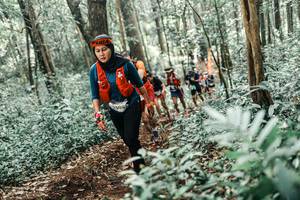 BIB: 
                            <button type="button" onclick="openModal(25524480)" class="btn btn-primary btn-sm float-right btn-popup" data-toggle="modal" data-target=".modal-high-quality">
                        <i class="fas fa-shopping-cart"></i> Add to Cart
                    </button>
                                            <button type="button" onclick="isThisMe(25524480, true)" class="btn btn-success btn-sm float-right btn-popup btn-isme hidden" data-toggle="tooltip" data-placement="bottom" title="นี่คือรูปของคุณใช่ไหม คลิกที่นี่เพื่อเอาเข้าอัลบั้ม">
                        <i class="fas fa-plus"></i> Add to album
                    </button>
                    <button type="button" onclick="isThisMe(25524480, false)" class="btn btn-warning btn-sm float-right btn-popup btn-isnotme hidden">
                        <i class="fas fa-ban"></i> Remove from album
                    </button>