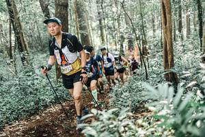 BIB: 
                            <button type="button" onclick="openModal(25529156)" class="btn btn-primary btn-sm float-right btn-popup" data-toggle="modal" data-target=".modal-high-quality">
                        <i class="fas fa-shopping-cart"></i> Add to Cart
                    </button>
                                            <button type="button" onclick="isThisMe(25529156, true)" class="btn btn-success btn-sm float-right btn-popup btn-isme hidden" data-toggle="tooltip" data-placement="bottom" title="นี่คือรูปของคุณใช่ไหม คลิกที่นี่เพื่อเอาเข้าอัลบั้ม">
                        <i class="fas fa-plus"></i> Add to album
                    </button>
                    <button type="button" onclick="isThisMe(25529156, false)" class="btn btn-warning btn-sm float-right btn-popup btn-isnotme hidden">
                        <i class="fas fa-ban"></i> Remove from album
                    </button>