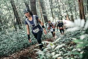 BIB: 
                            <button type="button" onclick="openModal(25497689)" class="btn btn-primary btn-sm float-right btn-popup" data-toggle="modal" data-target=".modal-high-quality">
                        <i class="fas fa-shopping-cart"></i> Add to Cart
                    </button>
                                            <button type="button" onclick="isThisMe(25497689, true)" class="btn btn-success btn-sm float-right btn-popup btn-isme hidden" data-toggle="tooltip" data-placement="bottom" title="นี่คือรูปของคุณใช่ไหม คลิกที่นี่เพื่อเอาเข้าอัลบั้ม">
                        <i class="fas fa-plus"></i> Add to album
                    </button>
                    <button type="button" onclick="isThisMe(25497689, false)" class="btn btn-warning btn-sm float-right btn-popup btn-isnotme hidden">
                        <i class="fas fa-ban"></i> Remove from album
                    </button>