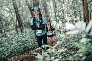 BIB: 
                            <button type="button" onclick="openModal(25496007)" class="btn btn-primary btn-sm float-right btn-popup" data-toggle="modal" data-target=".modal-high-quality">
                        <i class="fas fa-shopping-cart"></i> Add to Cart
                    </button>
                                            <button type="button" onclick="isThisMe(25496007, true)" class="btn btn-success btn-sm float-right btn-popup btn-isme hidden" data-toggle="tooltip" data-placement="bottom" title="นี่คือรูปของคุณใช่ไหม คลิกที่นี่เพื่อเอาเข้าอัลบั้ม">
                        <i class="fas fa-plus"></i> Add to album
                    </button>
                    <button type="button" onclick="isThisMe(25496007, false)" class="btn btn-warning btn-sm float-right btn-popup btn-isnotme hidden">
                        <i class="fas fa-ban"></i> Remove from album
                    </button>