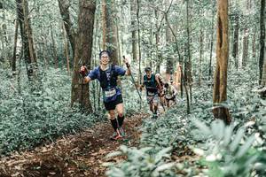 BIB: 
                            <button type="button" onclick="openModal(25527296)" class="btn btn-primary btn-sm float-right btn-popup" data-toggle="modal" data-target=".modal-high-quality">
                        <i class="fas fa-shopping-cart"></i> Add to Cart
                    </button>
                                            <button type="button" onclick="isThisMe(25527296, true)" class="btn btn-success btn-sm float-right btn-popup btn-isme hidden" data-toggle="tooltip" data-placement="bottom" title="นี่คือรูปของคุณใช่ไหม คลิกที่นี่เพื่อเอาเข้าอัลบั้ม">
                        <i class="fas fa-plus"></i> Add to album
                    </button>
                    <button type="button" onclick="isThisMe(25527296, false)" class="btn btn-warning btn-sm float-right btn-popup btn-isnotme hidden">
                        <i class="fas fa-ban"></i> Remove from album
                    </button>