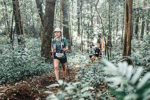 BIB: 
                            <button type="button" onclick="openModal(25508437)" class="btn btn-primary btn-sm float-right btn-popup" data-toggle="modal" data-target=".modal-high-quality">
                        <i class="fas fa-shopping-cart"></i> Add to Cart
                    </button>
                                            <button type="button" onclick="isThisMe(25508437, true)" class="btn btn-success btn-sm float-right btn-popup btn-isme hidden" data-toggle="tooltip" data-placement="bottom" title="นี่คือรูปของคุณใช่ไหม คลิกที่นี่เพื่อเอาเข้าอัลบั้ม">
                        <i class="fas fa-plus"></i> Add to album
                    </button>
                    <button type="button" onclick="isThisMe(25508437, false)" class="btn btn-warning btn-sm float-right btn-popup btn-isnotme hidden">
                        <i class="fas fa-ban"></i> Remove from album
                    </button>