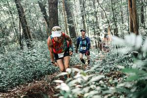 BIB: 
                            <button type="button" onclick="openModal(25504038)" class="btn btn-primary btn-sm float-right btn-popup" data-toggle="modal" data-target=".modal-high-quality">
                        <i class="fas fa-shopping-cart"></i> Add to Cart
                    </button>
                                            <button type="button" onclick="isThisMe(25504038, true)" class="btn btn-success btn-sm float-right btn-popup btn-isme hidden" data-toggle="tooltip" data-placement="bottom" title="นี่คือรูปของคุณใช่ไหม คลิกที่นี่เพื่อเอาเข้าอัลบั้ม">
                        <i class="fas fa-plus"></i> Add to album
                    </button>
                    <button type="button" onclick="isThisMe(25504038, false)" class="btn btn-warning btn-sm float-right btn-popup btn-isnotme hidden">
                        <i class="fas fa-ban"></i> Remove from album
                    </button>