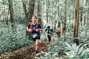 BIB: 
                            <button type="button" onclick="openModal(25527182)" class="btn btn-primary btn-sm float-right btn-popup" data-toggle="modal" data-target=".modal-high-quality">
                        <i class="fas fa-shopping-cart"></i> Add to Cart
                    </button>
                                            <button type="button" onclick="isThisMe(25527182, true)" class="btn btn-success btn-sm float-right btn-popup btn-isme hidden" data-toggle="tooltip" data-placement="bottom" title="นี่คือรูปของคุณใช่ไหม คลิกที่นี่เพื่อเอาเข้าอัลบั้ม">
                        <i class="fas fa-plus"></i> Add to album
                    </button>
                    <button type="button" onclick="isThisMe(25527182, false)" class="btn btn-warning btn-sm float-right btn-popup btn-isnotme hidden">
                        <i class="fas fa-ban"></i> Remove from album
                    </button>