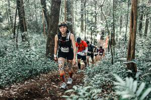 BIB: 
                            <button type="button" onclick="openModal(25510358)" class="btn btn-primary btn-sm float-right btn-popup" data-toggle="modal" data-target=".modal-high-quality">
                        <i class="fas fa-shopping-cart"></i> Add to Cart
                    </button>
                                            <button type="button" onclick="isThisMe(25510358, true)" class="btn btn-success btn-sm float-right btn-popup btn-isme hidden" data-toggle="tooltip" data-placement="bottom" title="นี่คือรูปของคุณใช่ไหม คลิกที่นี่เพื่อเอาเข้าอัลบั้ม">
                        <i class="fas fa-plus"></i> Add to album
                    </button>
                    <button type="button" onclick="isThisMe(25510358, false)" class="btn btn-warning btn-sm float-right btn-popup btn-isnotme hidden">
                        <i class="fas fa-ban"></i> Remove from album
                    </button>