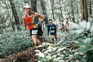 BIB: 
                            <button type="button" onclick="openModal(25504071)" class="btn btn-primary btn-sm float-right btn-popup" data-toggle="modal" data-target=".modal-high-quality">
                        <i class="fas fa-shopping-cart"></i> Add to Cart
                    </button>
                                            <button type="button" onclick="isThisMe(25504071, true)" class="btn btn-success btn-sm float-right btn-popup btn-isme hidden" data-toggle="tooltip" data-placement="bottom" title="นี่คือรูปของคุณใช่ไหม คลิกที่นี่เพื่อเอาเข้าอัลบั้ม">
                        <i class="fas fa-plus"></i> Add to album
                    </button>
                    <button type="button" onclick="isThisMe(25504071, false)" class="btn btn-warning btn-sm float-right btn-popup btn-isnotme hidden">
                        <i class="fas fa-ban"></i> Remove from album
                    </button>