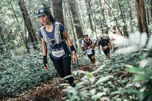 BIB: 
                            <button type="button" onclick="openModal(25497703)" class="btn btn-primary btn-sm float-right btn-popup" data-toggle="modal" data-target=".modal-high-quality">
                        <i class="fas fa-shopping-cart"></i> Add to Cart
                    </button>
                                            <button type="button" onclick="isThisMe(25497703, true)" class="btn btn-success btn-sm float-right btn-popup btn-isme hidden" data-toggle="tooltip" data-placement="bottom" title="นี่คือรูปของคุณใช่ไหม คลิกที่นี่เพื่อเอาเข้าอัลบั้ม">
                        <i class="fas fa-plus"></i> Add to album
                    </button>
                    <button type="button" onclick="isThisMe(25497703, false)" class="btn btn-warning btn-sm float-right btn-popup btn-isnotme hidden">
                        <i class="fas fa-ban"></i> Remove from album
                    </button>