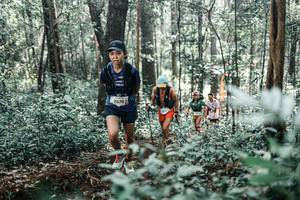 BIB: 
                            <button type="button" onclick="openModal(25485651)" class="btn btn-primary btn-sm float-right btn-popup" data-toggle="modal" data-target=".modal-high-quality">
                        <i class="fas fa-shopping-cart"></i> Add to Cart
                    </button>
                                            <button type="button" onclick="isThisMe(25485651, true)" class="btn btn-success btn-sm float-right btn-popup btn-isme hidden" data-toggle="tooltip" data-placement="bottom" title="นี่คือรูปของคุณใช่ไหม คลิกที่นี่เพื่อเอาเข้าอัลบั้ม">
                        <i class="fas fa-plus"></i> Add to album
                    </button>
                    <button type="button" onclick="isThisMe(25485651, false)" class="btn btn-warning btn-sm float-right btn-popup btn-isnotme hidden">
                        <i class="fas fa-ban"></i> Remove from album
                    </button>