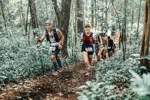 BIB: 
                            <button type="button" onclick="openModal(25512565)" class="btn btn-primary btn-sm float-right btn-popup" data-toggle="modal" data-target=".modal-high-quality">
                        <i class="fas fa-shopping-cart"></i> Add to Cart
                    </button>
                                            <button type="button" onclick="isThisMe(25512565, true)" class="btn btn-success btn-sm float-right btn-popup btn-isme hidden" data-toggle="tooltip" data-placement="bottom" title="นี่คือรูปของคุณใช่ไหม คลิกที่นี่เพื่อเอาเข้าอัลบั้ม">
                        <i class="fas fa-plus"></i> Add to album
                    </button>
                    <button type="button" onclick="isThisMe(25512565, false)" class="btn btn-warning btn-sm float-right btn-popup btn-isnotme hidden">
                        <i class="fas fa-ban"></i> Remove from album
                    </button>