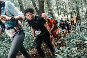 BIB: 
                            <button type="button" onclick="openModal(25515978)" class="btn btn-primary btn-sm float-right btn-popup" data-toggle="modal" data-target=".modal-high-quality">
                        <i class="fas fa-shopping-cart"></i> Add to Cart
                    </button>
                                            <button type="button" onclick="isThisMe(25515978, true)" class="btn btn-success btn-sm float-right btn-popup btn-isme hidden" data-toggle="tooltip" data-placement="bottom" title="นี่คือรูปของคุณใช่ไหม คลิกที่นี่เพื่อเอาเข้าอัลบั้ม">
                        <i class="fas fa-plus"></i> Add to album
                    </button>
                    <button type="button" onclick="isThisMe(25515978, false)" class="btn btn-warning btn-sm float-right btn-popup btn-isnotme hidden">
                        <i class="fas fa-ban"></i> Remove from album
                    </button>