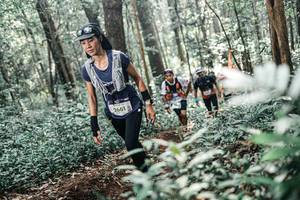 BIB: 
                            <button type="button" onclick="openModal(25497693)" class="btn btn-primary btn-sm float-right btn-popup" data-toggle="modal" data-target=".modal-high-quality">
                        <i class="fas fa-shopping-cart"></i> Add to Cart
                    </button>
                                            <button type="button" onclick="isThisMe(25497693, true)" class="btn btn-success btn-sm float-right btn-popup btn-isme hidden" data-toggle="tooltip" data-placement="bottom" title="นี่คือรูปของคุณใช่ไหม คลิกที่นี่เพื่อเอาเข้าอัลบั้ม">
                        <i class="fas fa-plus"></i> Add to album
                    </button>
                    <button type="button" onclick="isThisMe(25497693, false)" class="btn btn-warning btn-sm float-right btn-popup btn-isnotme hidden">
                        <i class="fas fa-ban"></i> Remove from album
                    </button>