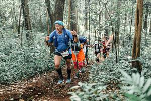 BIB: 
                            <button type="button" onclick="openModal(25524120)" class="btn btn-primary btn-sm float-right btn-popup" data-toggle="modal" data-target=".modal-high-quality">
                        <i class="fas fa-shopping-cart"></i> Add to Cart
                    </button>
                                            <button type="button" onclick="isThisMe(25524120, true)" class="btn btn-success btn-sm float-right btn-popup btn-isme hidden" data-toggle="tooltip" data-placement="bottom" title="นี่คือรูปของคุณใช่ไหม คลิกที่นี่เพื่อเอาเข้าอัลบั้ม">
                        <i class="fas fa-plus"></i> Add to album
                    </button>
                    <button type="button" onclick="isThisMe(25524120, false)" class="btn btn-warning btn-sm float-right btn-popup btn-isnotme hidden">
                        <i class="fas fa-ban"></i> Remove from album
                    </button>