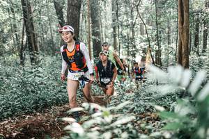 BIB: 
                            <button type="button" onclick="openModal(25501195)" class="btn btn-primary btn-sm float-right btn-popup" data-toggle="modal" data-target=".modal-high-quality">
                        <i class="fas fa-shopping-cart"></i> Add to Cart
                    </button>
                                            <button type="button" onclick="isThisMe(25501195, true)" class="btn btn-success btn-sm float-right btn-popup btn-isme hidden" data-toggle="tooltip" data-placement="bottom" title="นี่คือรูปของคุณใช่ไหม คลิกที่นี่เพื่อเอาเข้าอัลบั้ม">
                        <i class="fas fa-plus"></i> Add to album
                    </button>
                    <button type="button" onclick="isThisMe(25501195, false)" class="btn btn-warning btn-sm float-right btn-popup btn-isnotme hidden">
                        <i class="fas fa-ban"></i> Remove from album
                    </button>